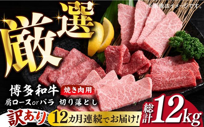 【全12回定期便】【訳あり】博多和牛 焼肉 切り落とし1kg（500g×2p）《築上町》【MEAT PLUS】肉 お肉 牛肉[ABBP156]