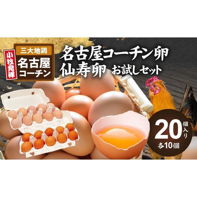 ymqszÉR[`EZbg(e10)[006K02]