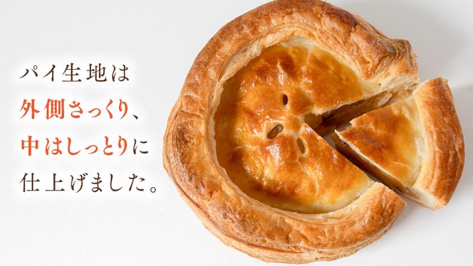 【 季節限定 】大人気 の アップルパイ ( 化粧箱 入り ) 季節限定 スイーツ お菓子 菓子 ケーキ 洋菓子 おやつ デザート パイ お取り寄せ りんご アップル ふじ 紅玉 おいしい [BS03-NT]