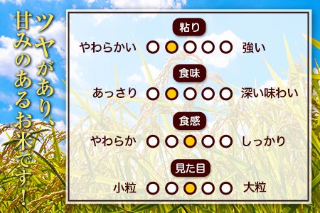 あきげしき 10kg 5kg×2袋 《3-7営業日以内に出荷予定(土日祝除く)》 白米 令和2年産 熊本県産 単一原料米 南阿蘇村 10000円 すぐ届く---mna_ag2_u_21_10000_10kg---