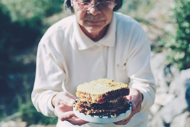 【保存料不使用】 天然！ 千花蜜（はちみつ） 約245g [日添 熊本県 五木村 51120299] はちみつ 蜂蜜 ハチミツ 保存料不使用 天然 天然蜂蜜 熊本県 五木村 特産