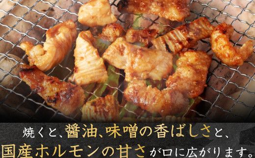 ヤマジュウの特製タレ漬け！国産牛ホルモン６００ｇ【６回定期便】_yj085