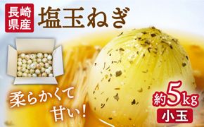 【2026年3月中旬～発送】【柔らかくて甘い！】塩玉ねぎ（新玉ねぎ）約5kg（小玉） / 玉ねぎ 南島原市 / 長崎県農産品流通合同会社 [SCB054]