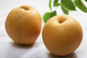【先行予約／数量限定150】京丹後産 新興梨 5kg（8～14玉入り）（2024年10月中旬～発送）JA00046