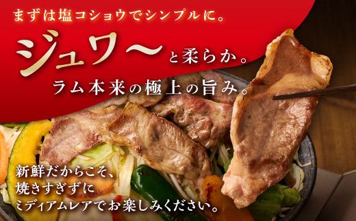 ラム肉焼肉ステーキセットA【600g×2パック】