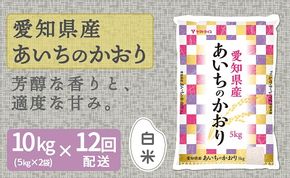 愛知県産あいちのかおり 10kg ※12回定期便 安心安全なヤマトライス  H074-610