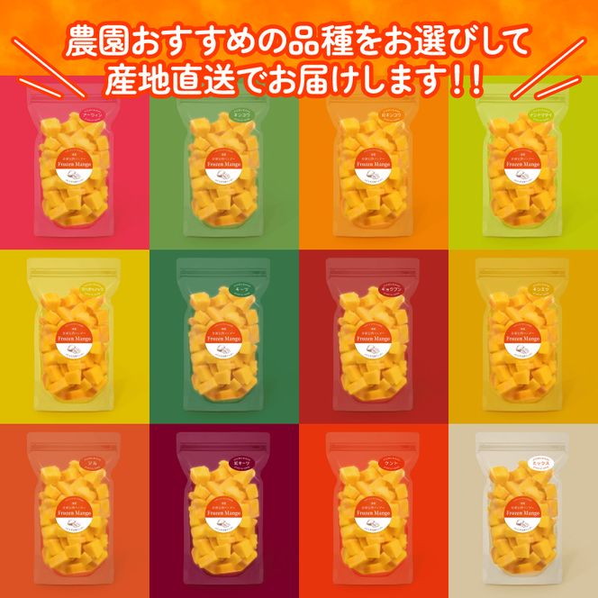 冷凍 完熟 マンゴー 500g 小分け パック 国産 フルーツ 果物 デザート スイーツ 数量限定  オンライン決裁 限定 静岡県 藤枝市