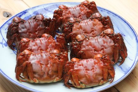 yVszyԌzVRNYKj 1kgi6`10CAIXEXj lbgɓĂ͂ sv Vst AB4027