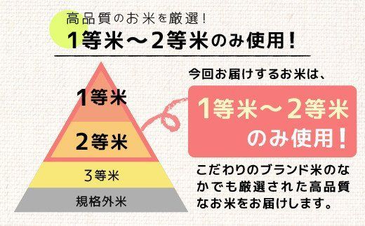 令和６年産★数量限定★熊本を代表するブランド米15ｋｇ（森のくまさん5kg×3袋）【12月より順次発送予定】【価格改定ZE】