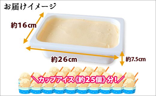 ykCqz596.ACXN[ N[`[Y WF[g Ɩp 2bg 2L ACX e   kC q