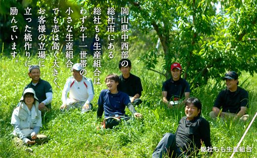 6月～7月の桃（約0.9kg）岡山県総社もも生産組合【2024年産先行予約】24-012-003