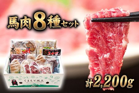 純国産馬肉8種セット 計2200g [60日以内に出荷予定(土日祝除く)] 熊本肥育 2年連続農林水産大臣賞受賞 送料無料 馬刺し 馬肉 馬スジ ホルモン 燻製 霜降り ハンバーグ 南阿蘇村---mna_fba8syu_60d_r7_25000_2200g---
