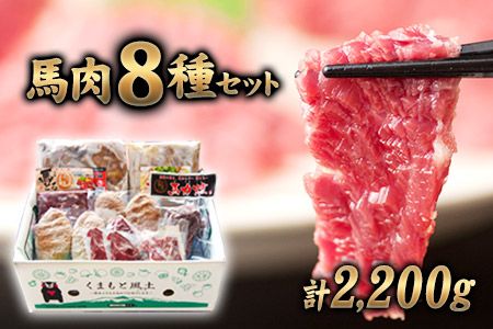 純国産馬肉8種セット 計2200g [60日以内に出荷予定(土日祝除く)] 熊本肥育 2年連続農林水産大臣賞受賞 送料無料 馬刺し 馬肉 馬スジ ホルモン 燻製 霜降り ハンバーグ 南阿蘇村---mna_fba8syu_60d_22_25000_2200g---