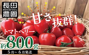 【お試し】幻のミニトマト トマトベリー 800g H004-114