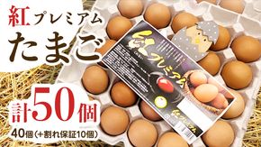 紅プレミアム 卵 50個 （ 40個 入り ＋ 割れ保障 10個 ） 独自飼料 濃厚 おいしい玉子 玉子 たまご サンサンエッグ タンパク質 [CX03-NT]