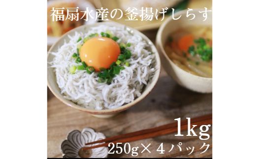 ya̎RLcsz498.g炷1kgi250g×SpbNj(A498-1)