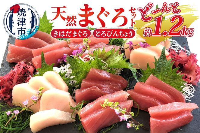 yÉĒÎsza10-908@VR ܂ ZbgiƂт񂿂傤E͂܂j 1.2kg