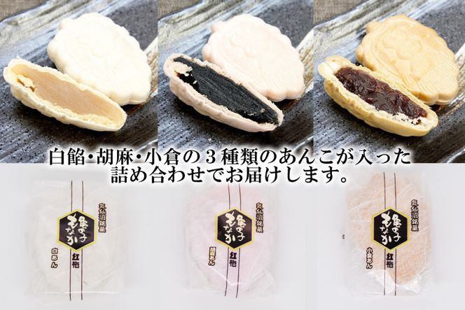 【形も可愛い】招福 亀の子もなか（3種）計18個 [菓匠 紅梅 宮城県 気仙沼市 20563527] 