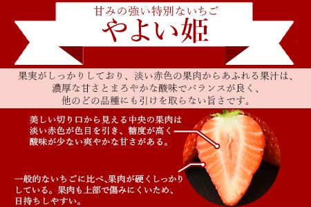 ＜高級いちご「やよい姫」（9～12粒×1パック 約380g以上）＞2025年1月上旬～4月末迄に順次出荷【a0326_sn_x1】