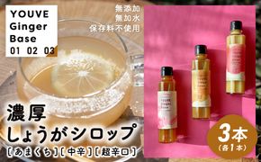 生姜好きさんにオススメ！ 濃厚 しょうがシロップ 3種セット【あまくち・中辛・超辛口】国産 生姜シロップ 自家製 生姜 しょうが ショウガ ジンジャー シロップ ドリンク 調味料 高知 四万十 四万十市 しまんと 産地直送 25-759