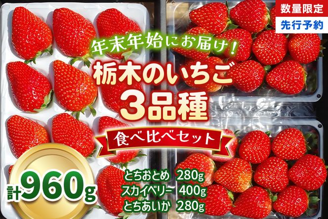 [数量限定] 年末年始にお届け！贅沢な栃木のいちご3種食べ比べセット｜とちあいか とちおとめ スカイベリー いちご 苺 フルーツ 果物 産地直送 [0565]