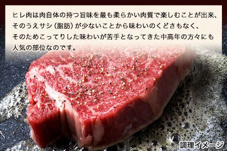 あか牛 ヒレ ステーキ 450g (150g x3) 熊本県産 和牛 肉 《2026年1月中旬-3月末頃出荷》 訳あり 不揃い 定期便 でない 冷凍庫 個別 取分け 小分け 個包装 ステーキ肉 あかうし 赤牛 あか牛丼 にも 国産 フィレ 牛ヒレ 牛ヒレステーキ 赤身---mna_fakahr_bc13_r7_25000_450g---