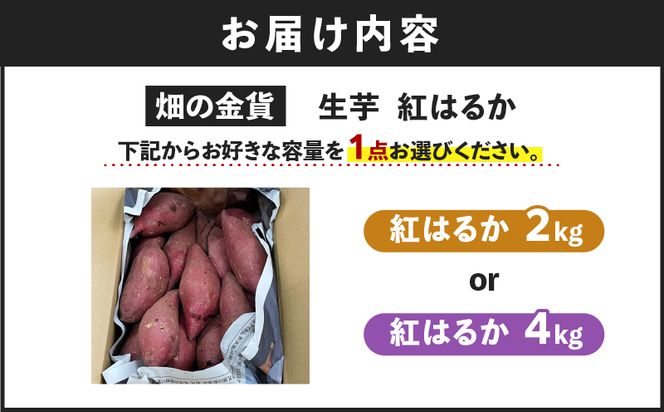 畑の金貨　生芋　紅はるか　容量が選べる　2kg or 4kg　K181-004