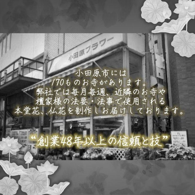 177-2289　【“48年以上の信頼と技”詳しくは画像をお読みください】選べるお供え・お悔やみ・法要【 花 お花 神奈川県 小田原市 】