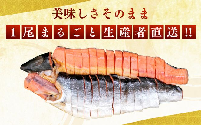 C4008 塩引鮭一尾（切身） 