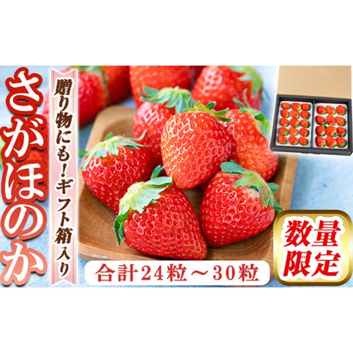 a881 [先行予約受付中!2026年2月上旬〜3月下旬に発送予定] いちご・さがほのか(合計24粒〜30粒)[佳農園]国産 鹿児島県産 苺 イチゴ フルーツ 果物 くだもの ギフト 贈答用