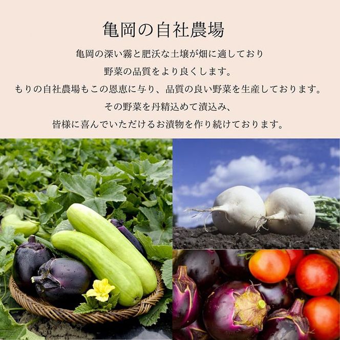 《京つけものもり》お試し 漬物 5種セット | しば漬 すぐき たくあん など 京漬物 5品 京野菜 伝統 おためし 少量サイズ 試食 漬け物 乳酸菌 発酵食品