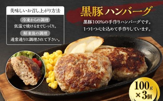 ＜黒豚加工品 3種セット ギョーザ ハンバーグ ミルフィーユカツ＞翌々月末迄に順次出荷【c896_ks_x3】