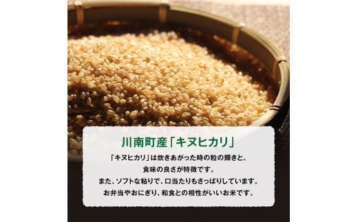 【6ヶ月定期便】 黒木農園のお米 「キヌヒカリ(玄米)」 5kg 【 米 お米 玄米 国産 宮崎県産 きぬひかり おにぎり 】 [D03204t6]