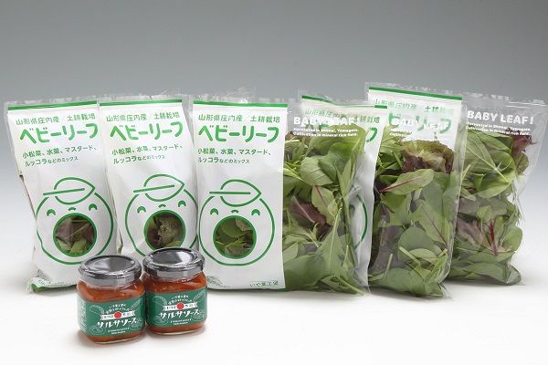 庄内産ベビーリーフと国内加工サルサソースセット