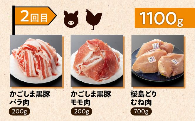 【岩元精肉店】鹿児島県産精肉 厳選4か月お届けコース　K045-T04