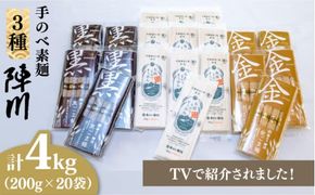 【手のべ陣川：ふるさと納税返礼品での限定商品】島原有機 手延べ そうめんand手延べ ごま麺 詰合せ 4kg/TA-100 / 南島原市 / ながいけ [SCH029] 