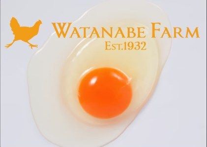 全体的に甘みとコクのある黄身が特徴 ワタナベファームの優等生な末っ子【平飼い卵いろは】
