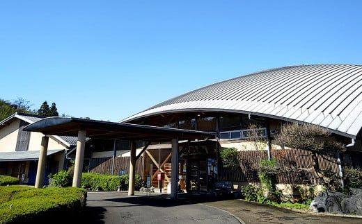 ＜高鍋温泉めいりんの湯 入浴券(10枚)＞翌月末迄に順次出荷【c1032_mi_x1】 温泉 入浴券 チケット ご利用券 1枚お一人様ご利用