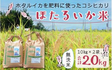 【訳あり】ほたるいか米（無洗米20kg）【通年発送】