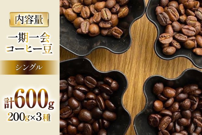 コーヒー 焙煎士おススメ コーヒー豆 セット 200g×3種 計600g [アンカーコーヒー 宮城県 気仙沼市 20564574] 珈琲 珈琲豆 豆 焙煎 自家焙煎