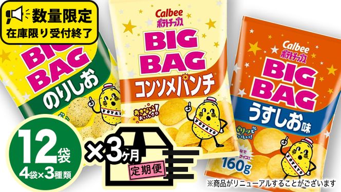 【 カルビー 3ヶ月 定期便 】 ポテトチップス BIGBAG 3種 各4袋 セット うすしお のりしお コンソメパンチポテチ お菓子 おかし 大量 スナック おつまみ ジャガイモ じゃがいも まとめ買い 数量限定 [DA012us]