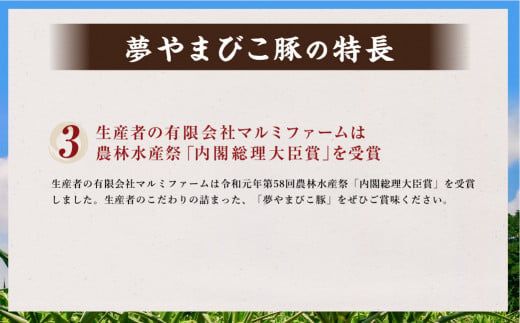 夢やまびこ豚 こま切いっぱいセット 計4kg（500g×8袋） 豚肉 お肉 豚 小間切れ