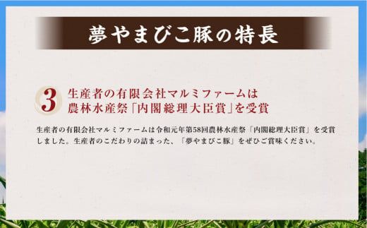 夢やまびこ豚 こま切いっぱいセット 計4kg（500g×8袋） 豚肉 お肉 お肉 小間切れ