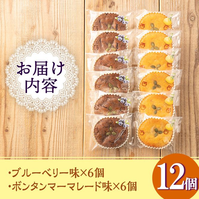 isa412 ＜数量限定＞福ちゃんのジャム菓子2種(ブルーベリー味6個、ボンタン味6個・計12個)【薩摩美食倶楽部】