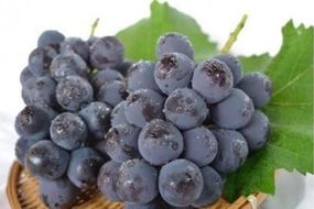 【先行予約】樹上完熟種無しピオーネ1.2kg（2～3房）（2026年9月下旬～発送）　BF00018