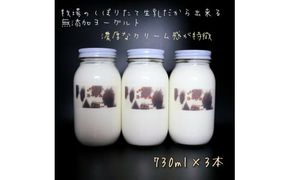 【北海道産搾りたて生乳100%使用】よーぐると工房Bawのプレミアムヨーグルト 加糖 730ml×3本 無添加 デザート スイーツ ミルク 牛乳 産地直送 せたな町 ふるさと納税