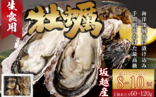 [国産]殻付き牡蠣旅する牡蠣プレミアムオイスター室戸海洋深層水 坂越8〜10個入り ak001!