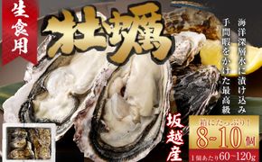 【国産】殻付き牡蠣旅する牡蠣プレミアムオイスター室戸海洋深層水 坂越8～10個入り　ak001