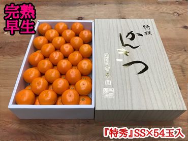 年内発送 完熟早生 有田みかん 化粧箱 特秀 小玉 SS サイズ 54玉入 和歌山 南泰園 BS638　