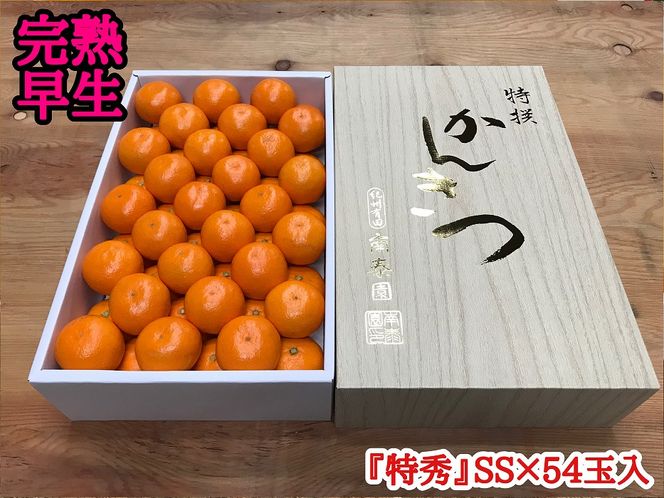 年内発送 完熟早生 有田みかん 化粧箱 特秀 小玉 SS サイズ 54玉入 和歌山 南泰園 みかん BS638　
